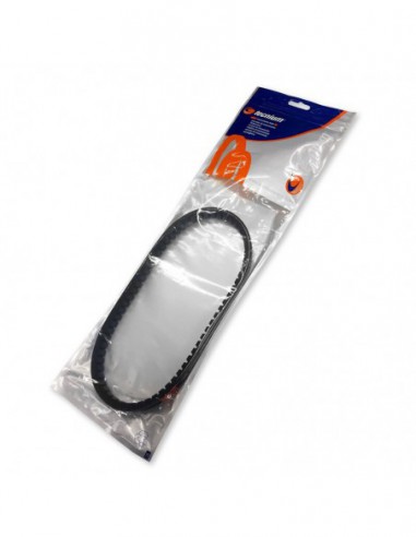 CORREA TRANSMIS. DYNAFLEX