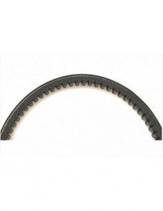 CORREA TRANSMIS. DYNAFLEX