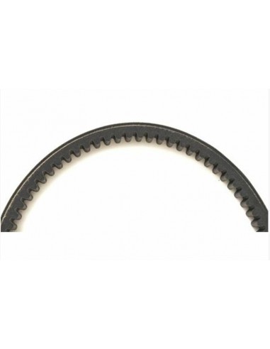 CORREA TRANSMIS. DYNAFLEX