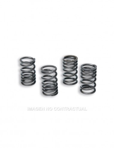 MUELLES DE EMBRAGUE R6 03/05