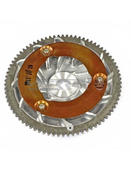 SEMIPOLEA ANTERIOR FIJA