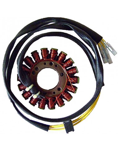 STATOR MOTO