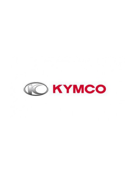 STATOR MOTO ORIGINAL KYMCO 31120-KKC4-90M1