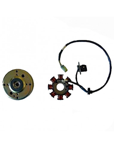 VOLANTE MAGNETICO MOTO