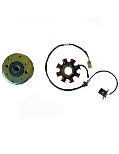 VOLANTE MAGNETICO MOTO