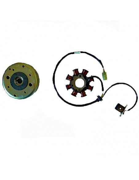 VOLANTE MAGNETICO MOTO