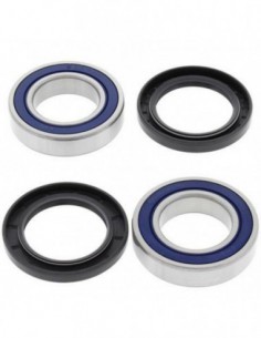 KIT RODAMIENTOS RUEDA TRASERA ALL BALLS 25-1313