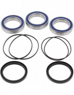 KIT RODAMIENTOS RUEDA TRASERA ALL BALLS 25-1479