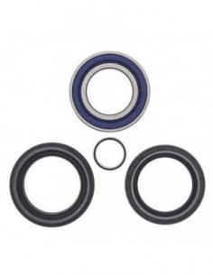 KIT RODAMIENTOS RUEDA DELELANTERA ALL BALLS 25-1572