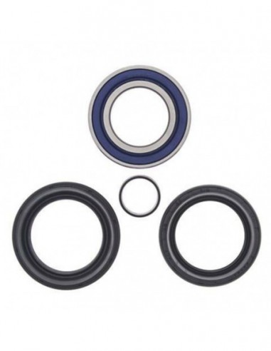 KIT RODAMIENTOS RUEDA DELELANTERA ALL BALLS 25-1572 KIT RODAMIENTOS RUEDA DELELANTERA ALL BALLS 25-1572