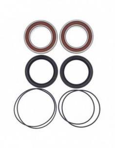 KIT RODAMIENTOS RUEDA TRASERA ALL BALLS 25-1612