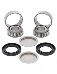 KIT RODAMIENTOS Y RETENES BASCULANTE ALL BALLS 28-1055