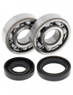 KIT RODAMIENTOS CIGÜEÑAL ALL BALLS 24-1008