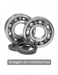 KIT RODAMIENTOS CIGÜEÑAL ALL BALLS 24-1020