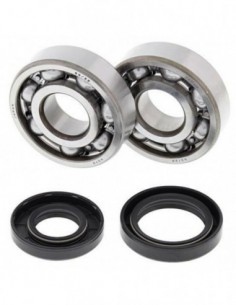 KIT RODAMIENTOS CIGÜEÑAL ALL BALLS 24-1025