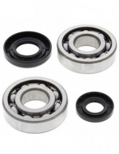 KIT RODAMIENTOS CIGÜEÑAL ALL BALLS 24-1029