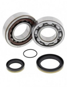KIT RODAMIENTOS CIGÜEÑAL ALL BALLS 24-1098
