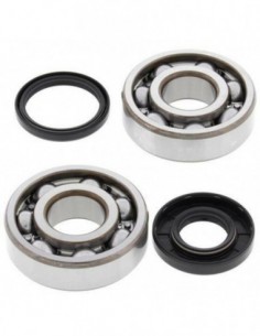 KIT RODAMIENTOS CIGÜEÑAL ALL BALLS 24-1108