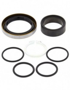 KIT REPARACION PIÑON SALIDA ALL BALLS 25-4003