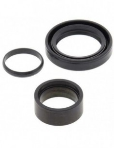 KIT REPARACION PIÑON SALIDA ALL BALLS 25-4010