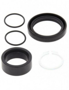 KIT REPARACION PIÑON SALIDA ALL BALLS 25-4012