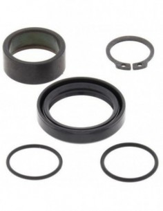KIT REPARACION PIÑON SALIDA ALL BALLS 25-4016