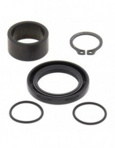 KIT REPARACION PIÑON SALIDA ALL BALLS 25-4018