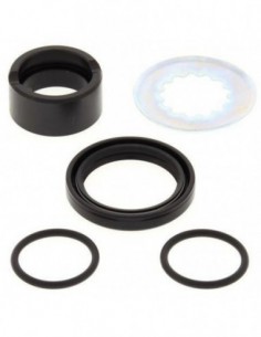 KIT REPARACION PIÑON SALIDA ALL BALLS 25-4025