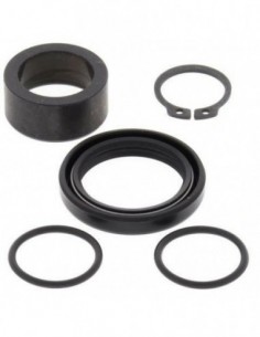 KIT REPARACION PIÑON SALIDA ALL BALLS 25-4029
