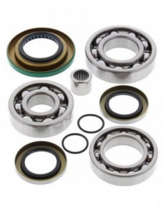 KIT RODAMIENTOS Y RETENES DIFERENCIAL TRASERO ALL BALLS 25-2086
