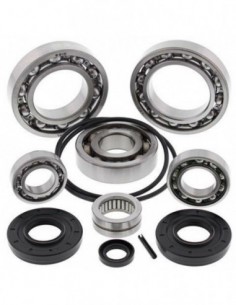 KIT RODAMIENTOS Y RETENES DIFERENCIAL TRASERO ALL BALLS 25-2095