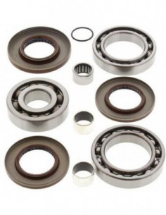 KIT RODAMIENTOS Y RETENES DIFERENCIAL TRASERO ALL BALLS 25-2080