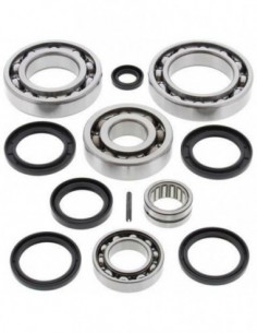 KIT RODAMIENTOS Y RETENES DIFERENCIAL TRASERO ALL BALLS 25-2062