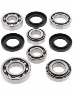 KIT RODAMIENTOS Y RETENES DIFERENCIAL TRASERO ALL BALLS 25-2074