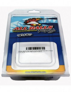 KIT ROTULAS BRAZO DIRECCION ALL BALLS 51-1063-R