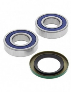 KIT RODAMIENTOS RUEDA TRASERA ALL BALLS 25-1518