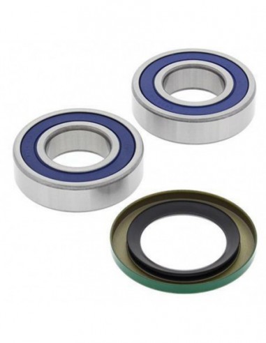 KIT RODAMIENTOS RUEDA TRASERA ALL BALLS 25-1518