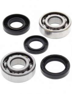 KIT RODAMIENTOS Y RETENES CIGÜEÑAL ALL BALLS 24-1022