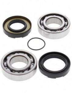 KIT RODAMIENTOS Y RETENES CIGÜEÑAL ALL BALLS 24-1026