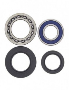 KIT RODAMIENTOS RUEDA ALL BALLS 25-1014
