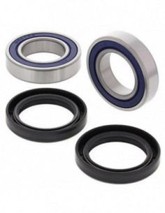 KIT RODAMIENTOS RUEDA ALL BALLS 25-1124