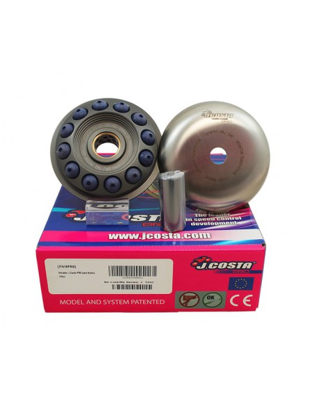 VARIADOR TRANSVERSAL