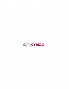 JUNTA CARTER TRANSMISION KYMCO GRAND DINK 250
