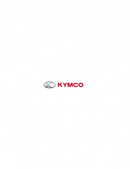 JUNTA CARTER TRANSMISION KYMCO GRAND DINK 250