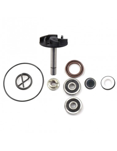 KIT REPARACION DE BOMBA AGUA PIAGGIO BEVERLY 250 04-05