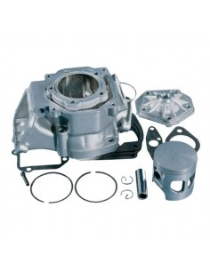 EQ. MOTOR ROTAX D.60 APRILIA