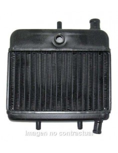RADIADOR RIEJU RS1 50 96-01