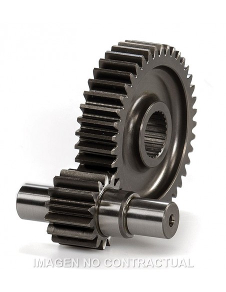 DESARROLLO SECUNDARIO MALOSSI PIAGGIO HEXAGON-SKIPPER 125 98-99