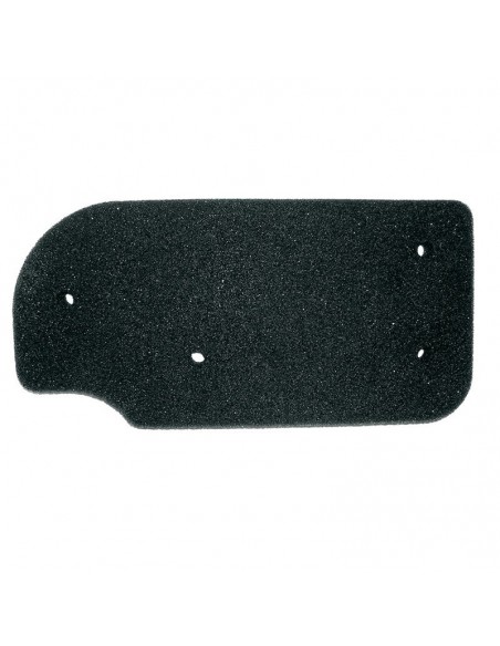 FILTRO DE AIRE DAELIM NS 125 97-02   DAELIM SG 125 TRANS UP 07-09