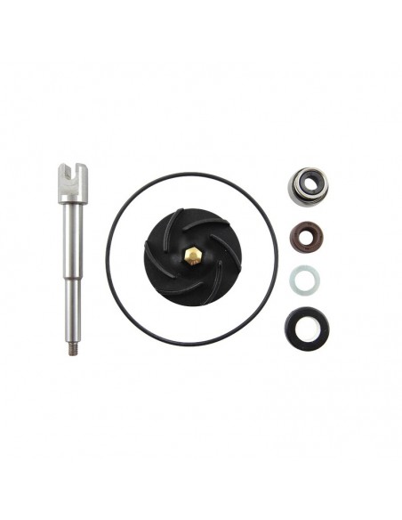 SET REPARA EJE BOMBA DE AGUA PIAGGIO BEVERLY 500